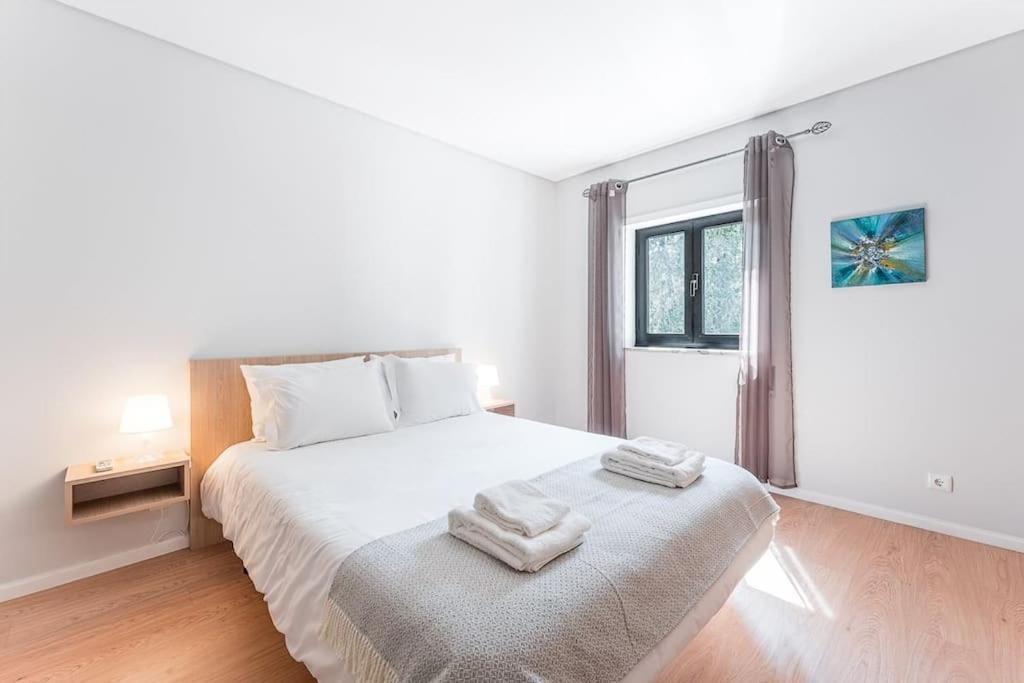 Fernandes Apartments Понте-де-Лима Экстерьер фото